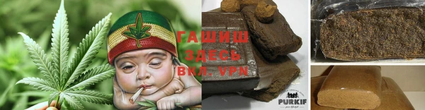 прущие грибы Беломорск