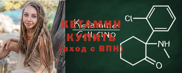 индика Богородицк