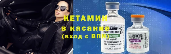 индика Богородицк