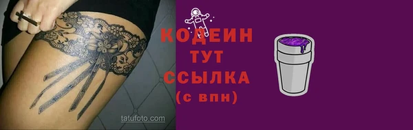 прущие грибы Беломорск