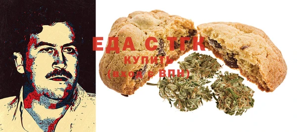 индика Богородицк
