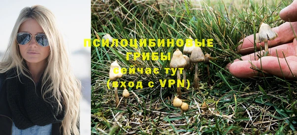 первитин Белокуриха