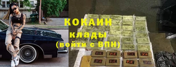 прущие грибы Беломорск