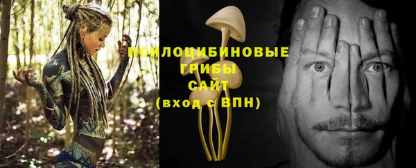индика Богородицк