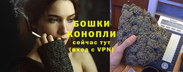индика Богородицк