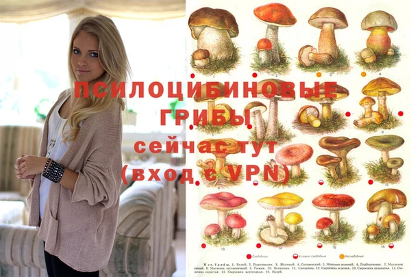 прущие грибы Беломорск