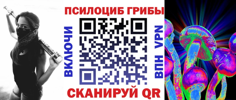 Псилоцибиновые грибы Psilocybine cubensis shop наркотические препараты Ясногорск