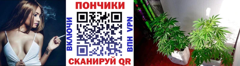 МАРИХУАНА гибрид  Ясногорск 